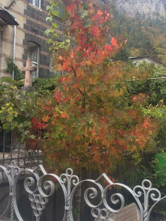 Old House Rustaveli Borjomi Exterior foto